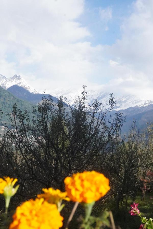 Hotel Himalayan Woods 3*